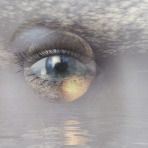digital rendering of an eye