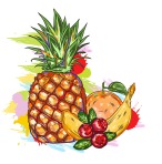 vector-fruits-with-colorful-splashes_z1HI4Rr_