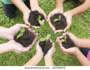 stock-photo-hands-holding-sapling-in-soil-surface-161599079