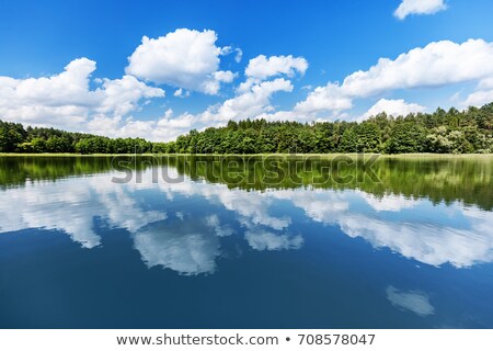 lake-landscape-summer-view-lakeshore-450w-708578047